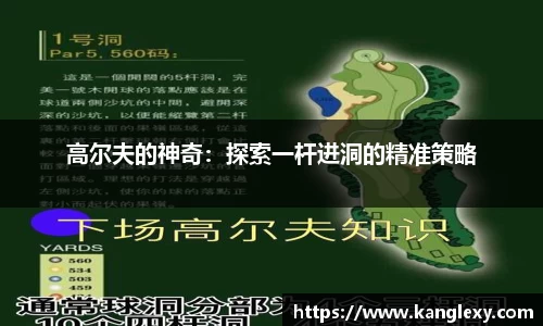 BB官网